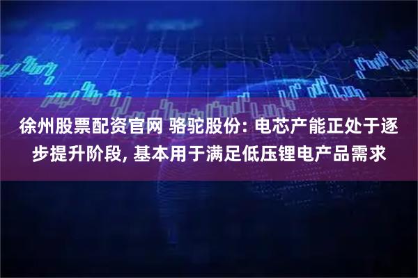 徐州股票配资官网 骆驼股份: 电芯产能正处于逐步提升阶段, 基本用于满足低压锂电产品需求