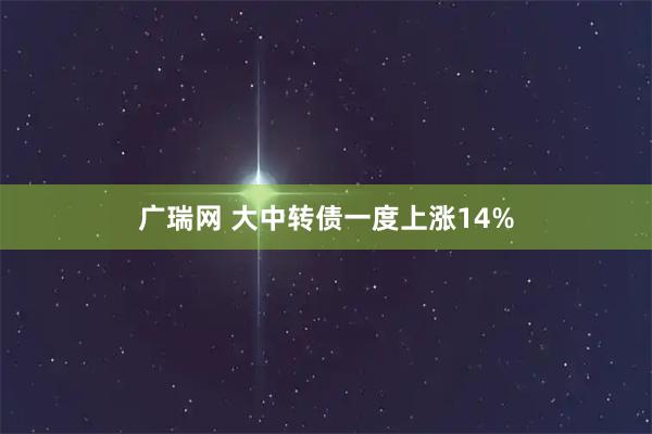 广瑞网 大中转债一度上涨14%