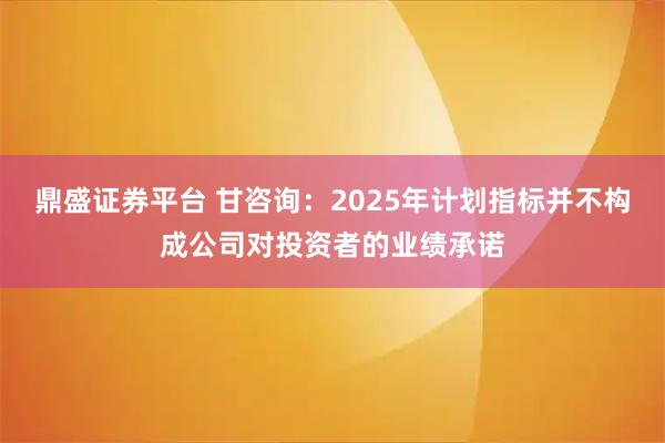 鼎盛证券平台 甘咨询：2025年计划指标并不构成公司对投资者的业绩承诺